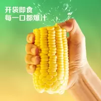 北纬47°(BEIWEI)水果玉米甜玉米220g*10穗 即食玉米棒