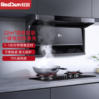 红日(RedSun)烟灶套装家用顶侧双吸抽油烟机红外线180min定时70%高热效灶具 LEU20H+EX28B液化气