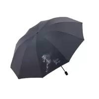 天堂伞黑色黑胶