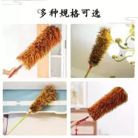 鸡毛掸80cm 密款