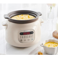 苏泊尔(SUPOR)电炖锅 煲汤锅3升 DG30YC816