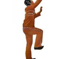 晟信 侧面爬墙靶 50*170cm