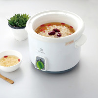 伊莱克斯 电炖锅 EGSC-250