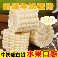 [西沛生鲜]福建牛奶玉米 净重4斤装 单根220g+ 箱装 香甜可口 时令蔬菜 西沛