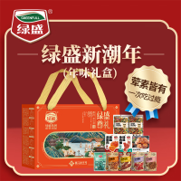 绿盛新年年货牛肉零食1040g