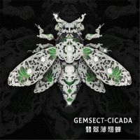 翡翠薄翅蝉