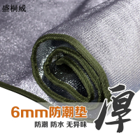 盛桐威双面铝膜防潮垫 保暖户外野营野餐便携式沙滩垫0.6*200*100cm