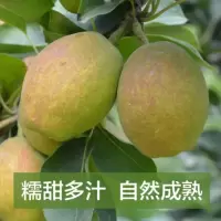 库尔勒香梨(c)kg