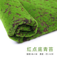 假青藓 红点-青苔片