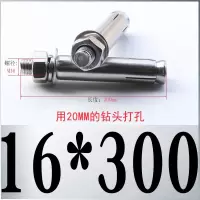 国标304不锈钢膨胀螺丝拉爆膨胀管螺丝螺栓 M16*300 10只