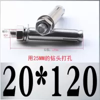 国标304不锈钢膨胀螺丝拉爆膨胀管螺丝螺栓 M20*120 10只