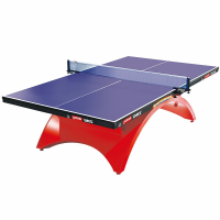 红双喜DHS 彩虹乒乓球桌室内乒乓球台比赛专业乒乓球案子TCH