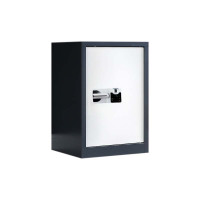 乙壬保密柜财务档案柜文件柜办公室资料储物柜保险柜电子密码国保锁 单门灰+白-国保指纹锁