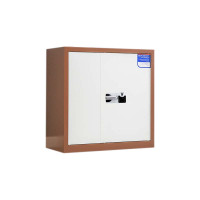 乙壬保密柜财务档案柜文件柜办公室资料储物柜保险柜电子密码国保锁矮柜咖白-国保指纹锁