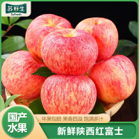 [苏鲜生]正宗陕西红富士苹果 净重3斤 特大果 单果80-90mm 新鲜时令水果当季整箱