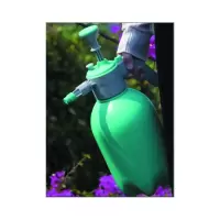 气压式喷壶(绿色)2L