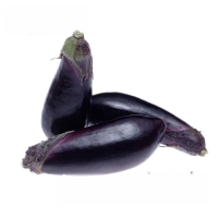 二级 长茄(布李塔) 高产1kg 新鲜直发