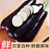 自种新鲜蔬菜长茄(大龙) 长茄简装 1kg