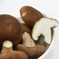 农家自种香菇A级 鲜摘蘑菇 新鲜蔬菜 食用菌类1000g