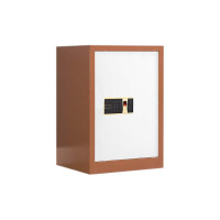 正斌保密柜财务档案柜文件柜办公室资料储物柜保险柜电子密码国保锁单门咖白-指纹密码锁