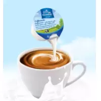 雀巢(Nestle)咖啡伴侣奶球非植脂奶球咖啡牛奶14g*30粒