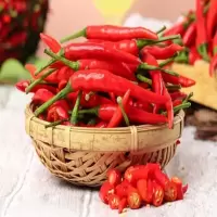 小米椒一批(20.25元/kg3.5kg)