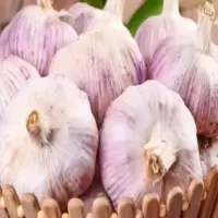 大蒜一批(13.12元/kg*19.9kg)