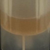 IAEA-447 Moss Soil, 150g