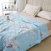 北极绒馨香美肤被BJRB501蓝色 150x200cm