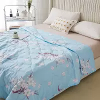 北极绒馨香美肤被BJRB501蓝色 180x200cm