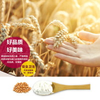 今粮道粗粮面传统工艺小麦粉 面条包子馒头饺子面粉 石磨面粉 2.5KG