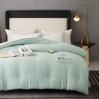 木辛梓 MXZ-BX-XW2071 火山岩蓄热被 200*230cm-6斤 (浅绿)