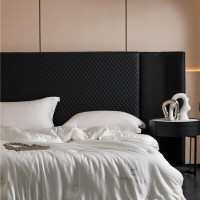 木辛梓 MXZ-BX-XW2074 黑金暖蚕被 200*230cm-6斤 (白色)