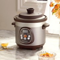 西屋(WESTINGHOUSE)家用电炖锅 陶釜内胆大容量 多功能电煮锅 WDZ305