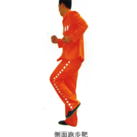 晟信50*170cm 侧面跑步靶