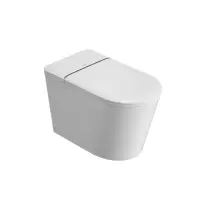 金牌卫浴GOLD R11Q无水压轻智能马桶 KA(含安装)RF3210Q(400坑距)