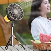 沃品(WOPOW) 多功能户外风扇 灰色 FA22 单位:台