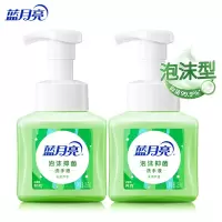蓝月亮 芦荟泡沫抑菌洗手液255ml×2 单位:组