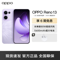 OPPO Reno13 蝴蝶紫 16GB+256GB 超美小直屏 AI高清实况照片 IP69满级防水 双芯抢网 拍照手机