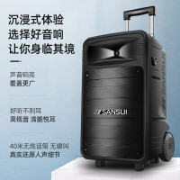 山水广场舞手提蓝牙音响户外便携式K唱歌直播教学培训电池耐用大功率声卡话筒音箱