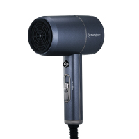 西屋(WESTINGHOUSE) H102 电吹风