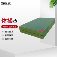 盛桐威体操垫 空翻垫训练垫体能训练垫 90*80*10cm带魔术贴
