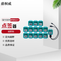 盛桐威定向越野 计时定位训练器材 点签器