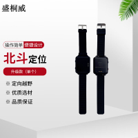 盛桐威定向越野 计时定位训练器材 升级款北斗定位(单个)实