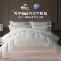康尔馨 希尔顿Houston1964春秋被芯i锁温纤维
