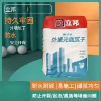 立邦 外墙腻子粉光面耐水防碱防水腻子 20kg/袋