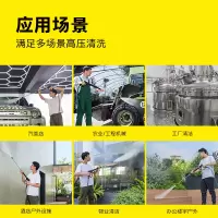 卡赫KARCHER 商用高压清洗机洗车机高压水枪2600W 感应电机曲轴泵 HD5/13标准 单台
