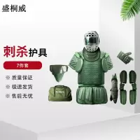 盛桐威2021款刺杀护具 模拟训练对抗护具 7件套