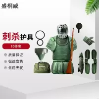 盛桐威2021款刺杀护具 模拟训练对抗护具10件套