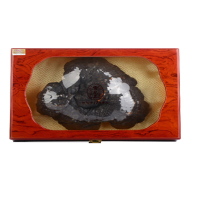 雷允上原只灵芝整枝紫灵芝礼盒100g